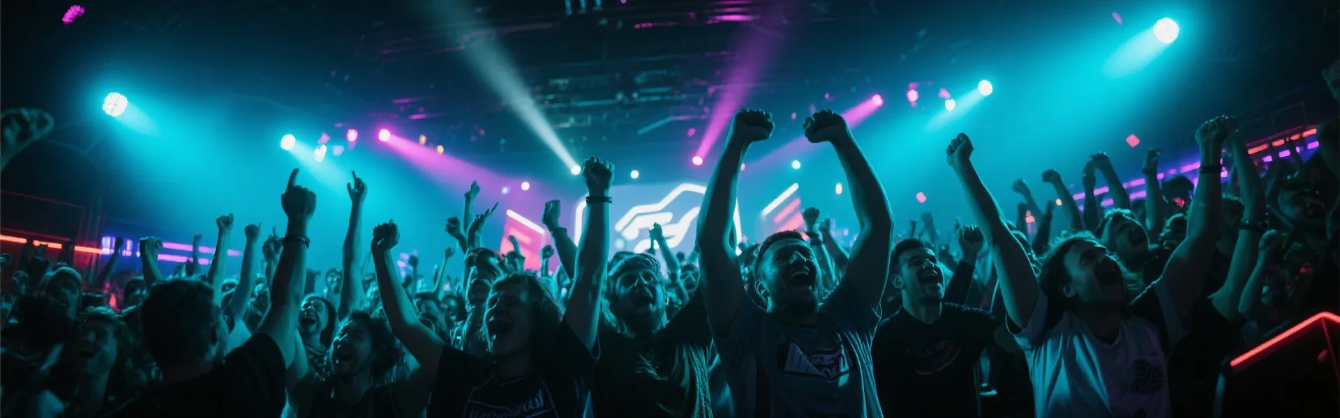 Esports Crowd